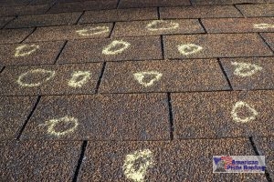 circled marks of hail damage on roof