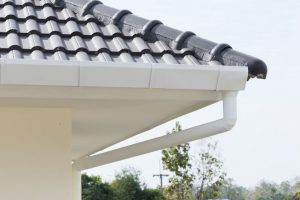 home roof repair expert